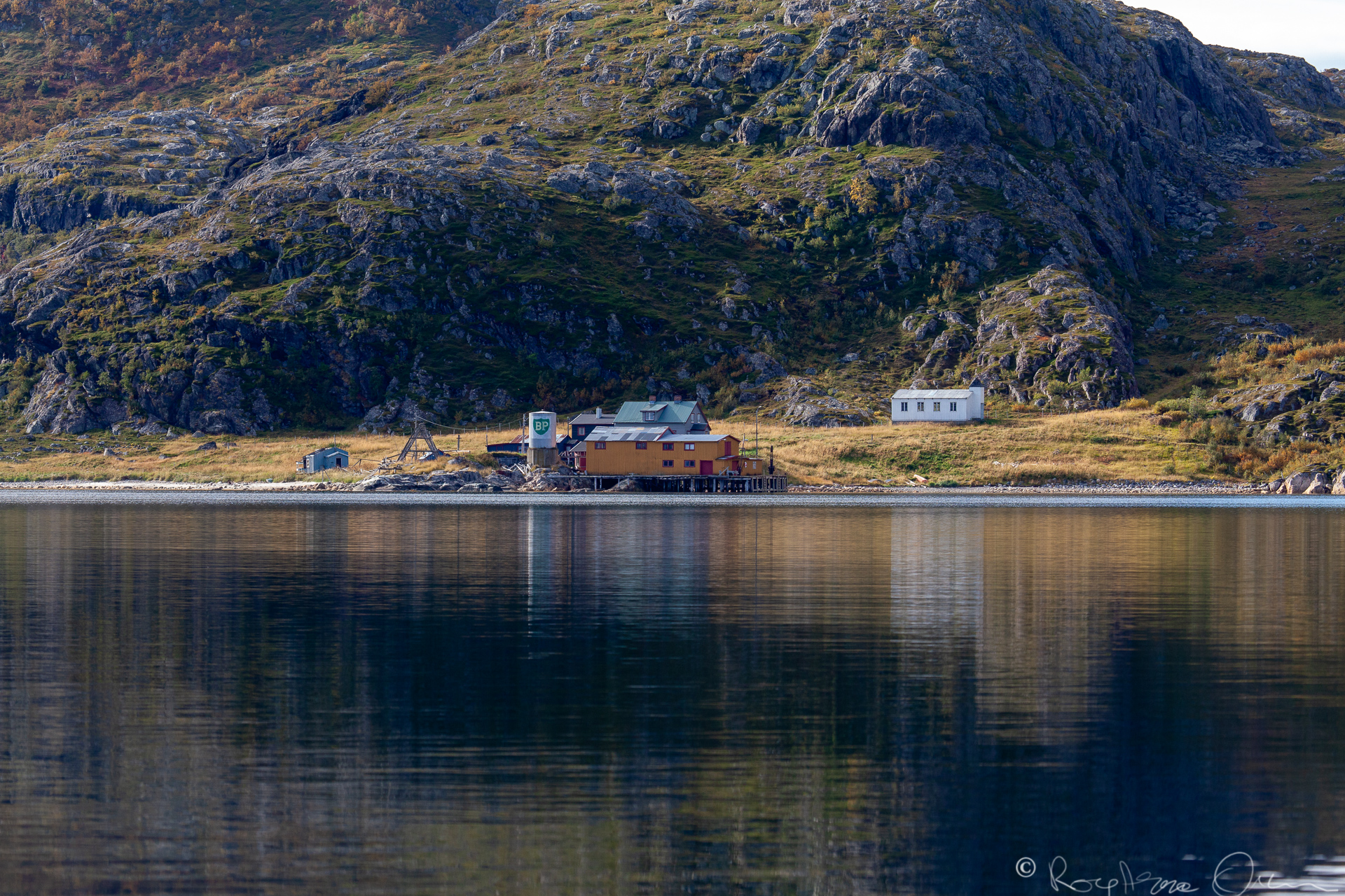 Fiskekjøpet i Laksefjordbotn nær.